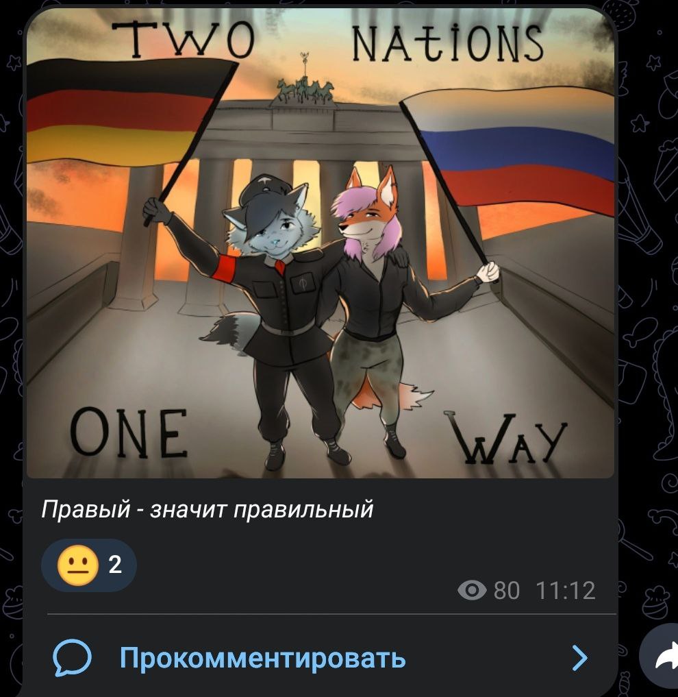 📋 Скриншот Telegram-поста. Фурри-арт: два антропоморфных персонажа — волк и лис — в чёрной военной форме (со стилизованными нашивками) стоят перед Бранденбургскими воротами на закате. Волк держит флаг Германии, лис — флаг России. Надпись крупными буквами: «TWO NATIONS ONE WAY». Подпись под постом: «Правый — значит правильный». 2 реакции, 80 просмотров, 11:12.
