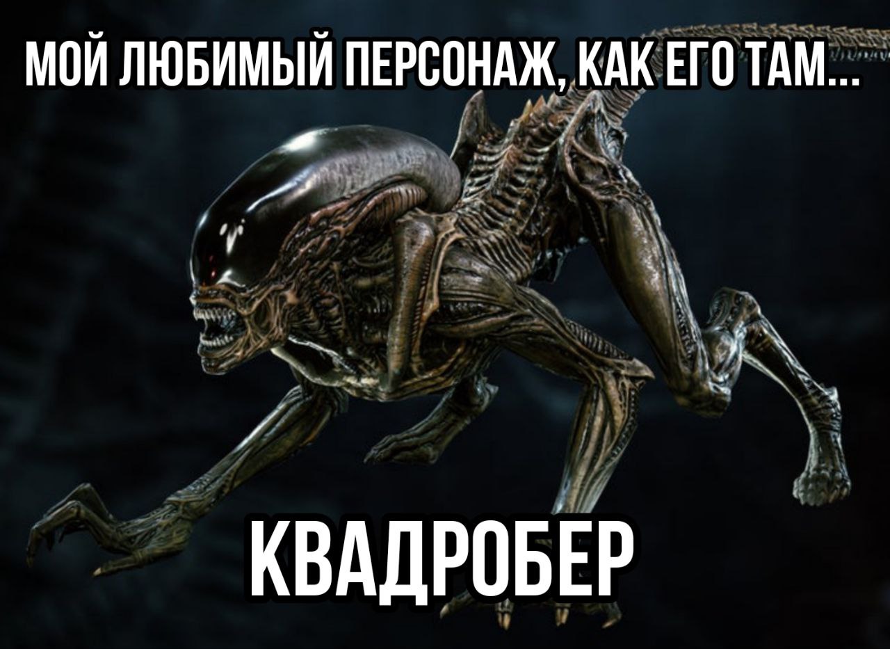 Мем. Фото фигурки или кадр из фильма: ксеноморф (чужой) передвигается на четырёх конечностях в тёмном окружении. Текст сверху: «МОЙ ЛЮБИМЫЙ ПЕРСОНАЖ, КАК ЕГО ТАМ...» Текст снизу крупными буквами: «КВАДРОБЕР».