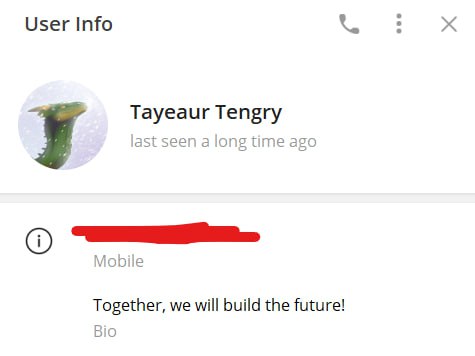 📋 Скриншот Telegram User Info. Имя: «Tayeaur Tengry». Статус: last seen a long time ago. Аватарка — зелёный дракон. Телефон скрыт (закрашен красным). Bio: «Together, we will build the future!»