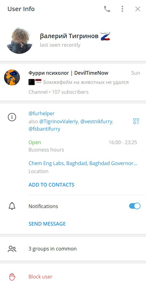 📋 Скриншот Telegram User Info. Имя: «Валерий Тигринов» с эмодзи Z-флага. Статус: last seen recently. Канал: «Фурри психолог | DevilTimeNow» — «Бомжефейм на животных не удался», 107 подписчиков. Имена: @furhelper, также @TigrinovValeriy, @vestnikfurry, @fsbantifurry. Часы работы: 16:00–23:25. Локация: Chem Eng Labs, Baghdad, Baghdad Governor... 3 общих группы.