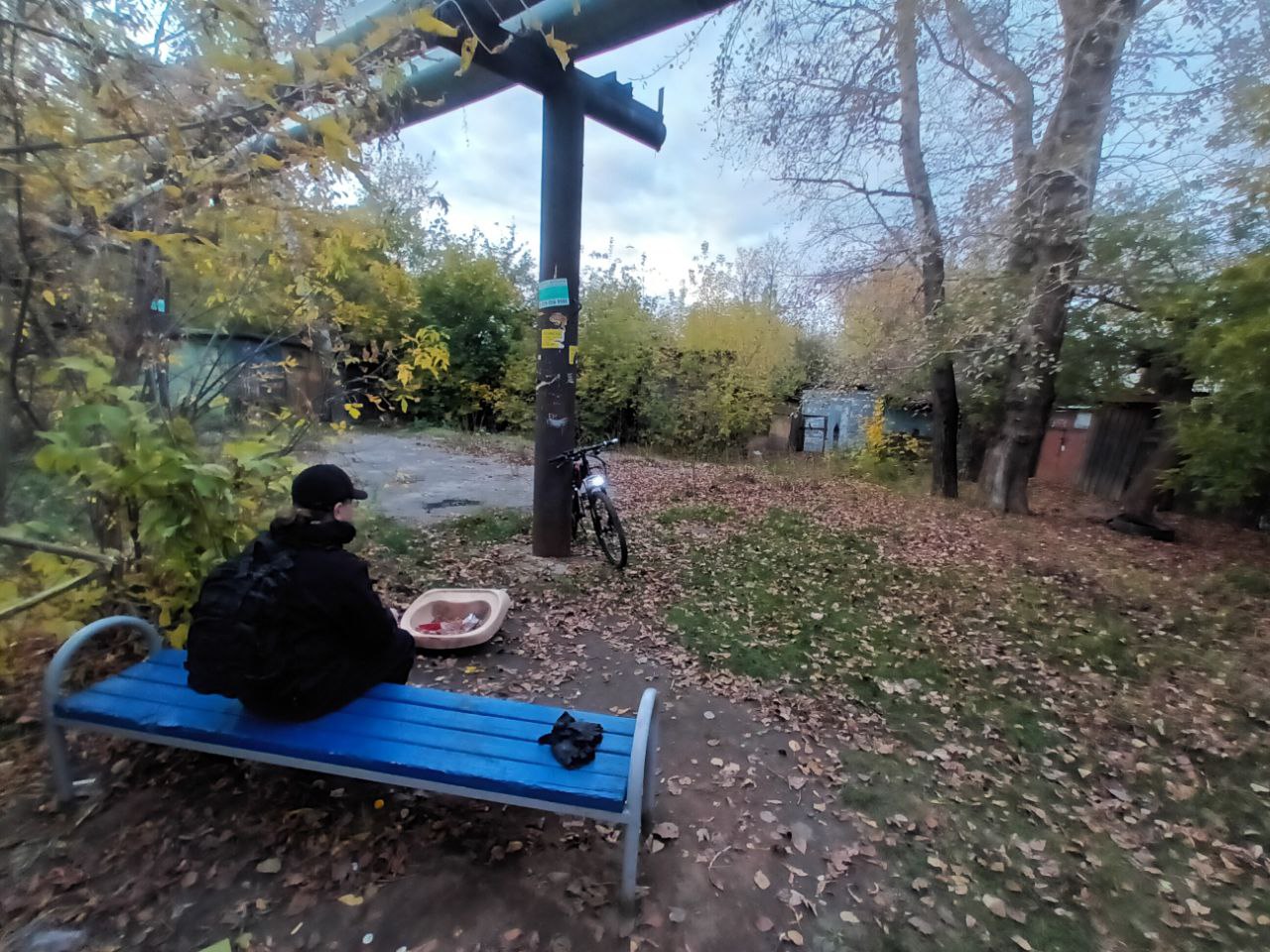 Фото осеннего двора. Человек в тёмной одежде и шапке сидит спиной на синей скамейке, на коленях тарелка с едой. Вокруг деревья с пожелтевшими листьями, опавшая листва на земле, вдали забор и велосипед.