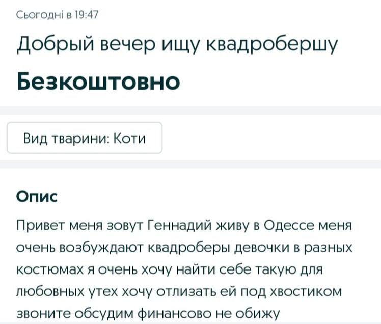 📋 Скриншот объявления с украинского сайта (сегодні в 19:47). Заголовок: «Добрый вечер ищу квадробершу». Цена: «Безкоштовно». Категория: «Вид тварини: Коти». Описание: «Привет меня зовут Геннадий живу в Одессе меня очень возбуждают квадроберы девочки в разных костюмах я очень хочу найти себе такую для любовных утех хочу отлизать ей под хвостиком звоните обсудим финансово не обижу».