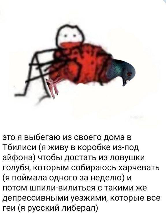 Мем: рисованная стик-фигура человека с головой настоящего голубя, тело красного цвета. Подпись: «это я выбегаю из своего дома в Тбилиси (я живу в коробке из-под айфона) чтобы достать из ловушки голубя, которым собираюсь харчевать (я поймала одного за неделю) и потом шпили-вилиться с такими же депрессивными уезжими, которые все геи (я русский либерал)».