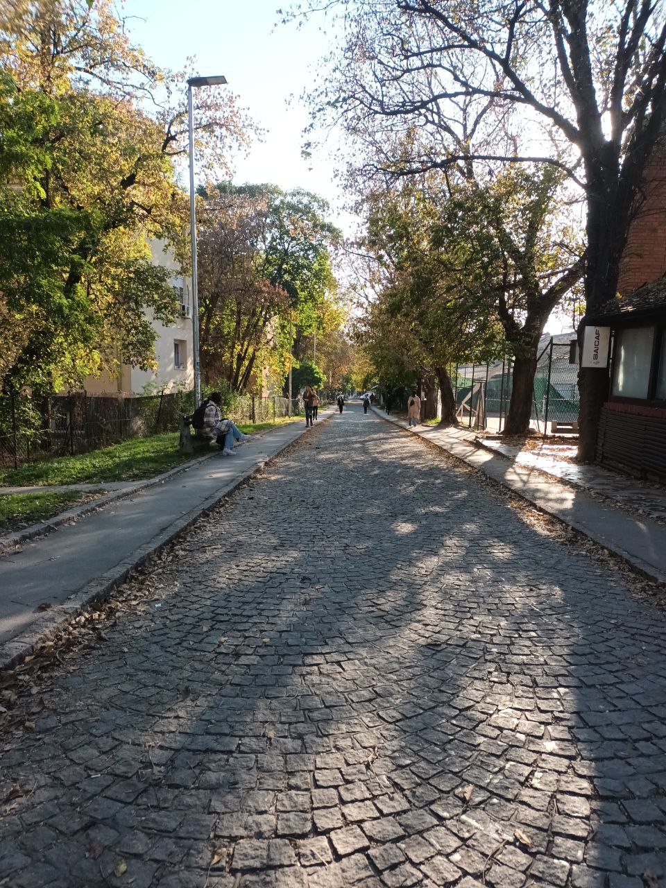 Фото осенней мощёной улицы. Брусчатка, опавшие листья, деревья без листвы, фонарный столб, вдали прохожие. По виду — один из европейских городов (возможно Белград).