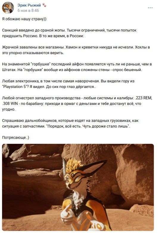 Скриншот ВКонтакте. «Эрик Рыжий 🐾», 6 ноя в 8:46: «Я обожаю нашу страну))» — текст о том, что санкции не работают: магазины полны едой, Playstation 5 есть, айфоны появляются раньше чем в США, оружие любого калибра доступно, запчасти для грузовиков в порядке. «Потрясающе..)» Ниже — стоп-кадр из анимационного фильма с антропоморфной лисой-героем в пустынном пейзаже.
