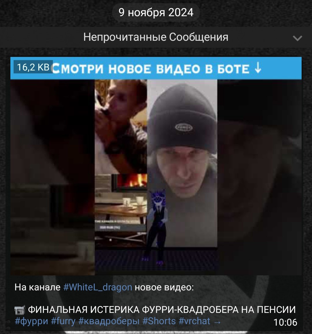 Скриншот «Непрочитанные Сообщения» (9 ноября 2024). Плашка «СМОТРИ НОВОЕ ВИДЕО В БОТЕ ↓». Превью видео: слева мужчина в чёрной шапке, справа 3D-персонаж фурри в VRChat (синий дракон/персонаж). Подпись: «На канале #WhiteL_dragon новое видео: 🎞️ ФИНАЛЬНАЯ ИСТЕРИКА ФУРРИ-КВАДРОБЕРА НА ПЕНСИИ #фурри #furry #квадроберы #Shorts #vrchat» Длительность 10:06.