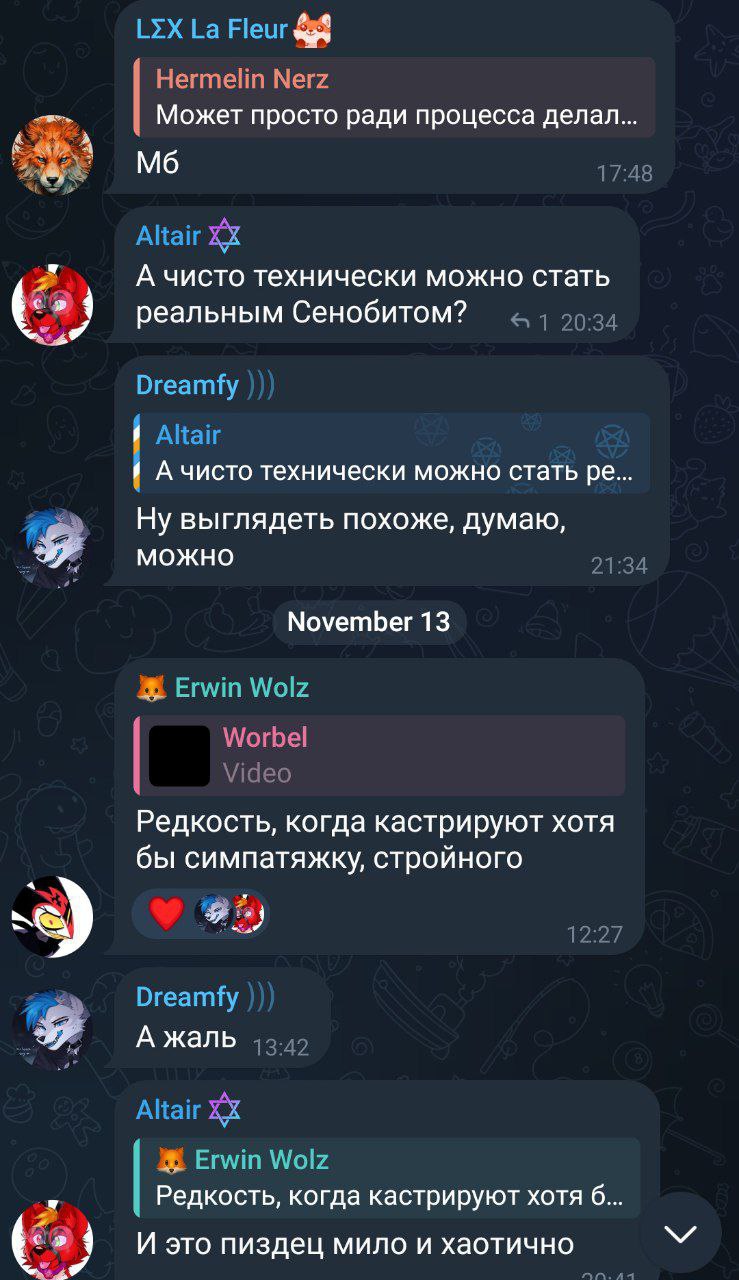 Скриншот Telegram-чата (тёмная тема). L∑X La Fleur цитирует Hermelin Nerz: «Может просто ради процесса делал... Мб» (17:48). Altair ☆: «А чисто технически можно стать реальным Сенобитом?» Dreamfy ))): «Ну выглядеть похоже, думаю, можно» (21:34). 13 ноября: Erwin Wolz пересылает видео Worbel с комментарием «Редкость, когда кастрируют хотя бы симпатяжку, стройного» (12:27). Dreamfy ))): «А жаль» (13:42). Altair ☆: «И это пиздец мило и хаотично».