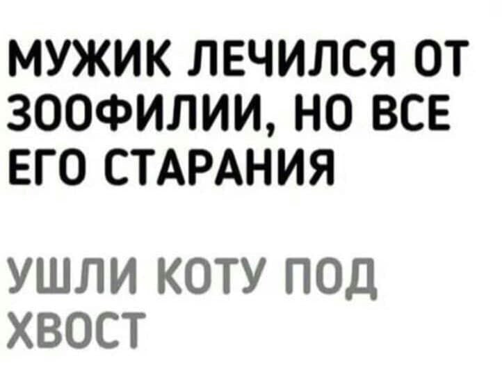 Текстовый мем на белом фоне. Жирным шрифтом: «МУЖИК ЛЕЧИЛСЯ ОТ ЗООФИЛИИ, НО ВСЕ ЕГО СТАРАНИЯ». Серым шрифтом (панчлайн): «УШЛИ КОТУ ПОД ХВОСТ».