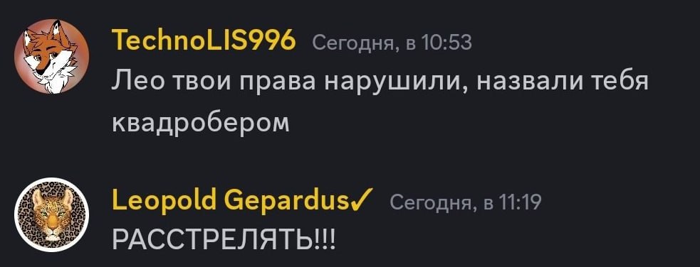 Скриншот тёмного чата (дубль). «TechnoLIS996»: «Лео твои права нарушили, назвали тебя квадробером» (10:53). «Leopold Gepardus✓»: «РАССТРЕЛЯТЬ!!!» (11:19).