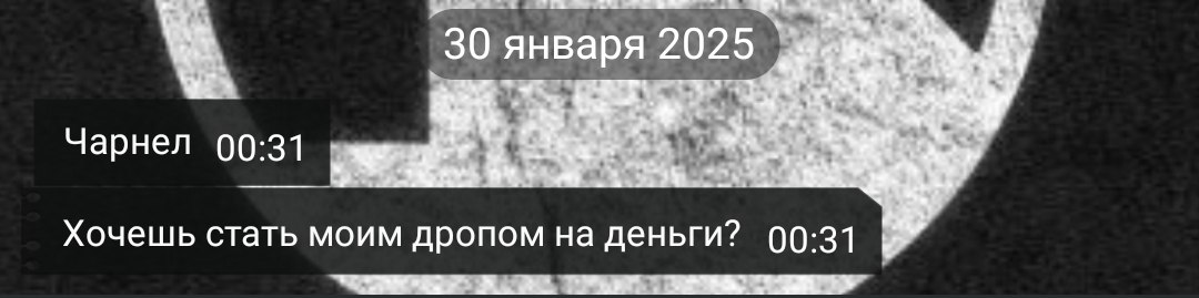 Скриншот Telegram-переписки от 30 января 2025, 00:31: пользователь «Чарнел» пишет «Хочешь стать моим дропом на деньги?». На фоне виден логотип Telegram.