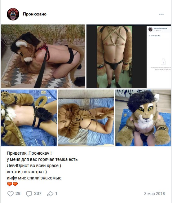 Скриншот поста VK «Пронюхано» (3 мая 2018): коллаж из четырёх фото с БДСМ-атрибутикой и фурсьютом, подпись «Лев-Юрист во всей красе, кстати он кастрат, инфу мне слили знакомые».