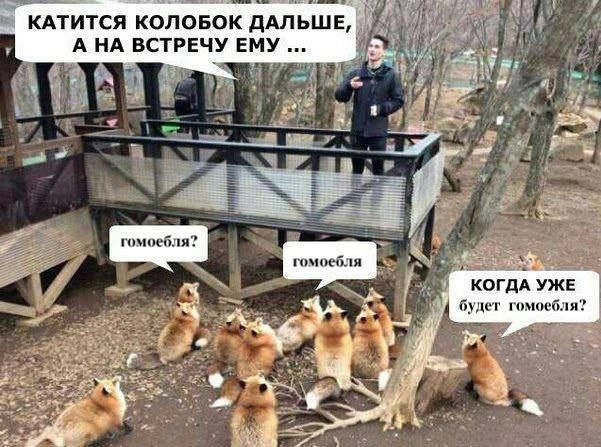 Мем: реальное фото с фермы лисиц — мужчина стоит на деревянном помосте, вокруг сидят рыжие лисы; на лис добавлены подписи «гомоебля?» и «КОГДА УЖЕ будет гомоебля?», вверху «Катится колобок дальше, а на встречу ему...»