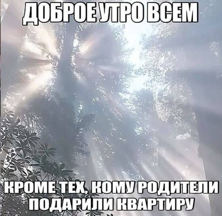 Мем: фото солнечных лучей в туманном лесу, надписи «Доброе утро всем» (сверху) и «кроме тех, кому родители подарили квартиру» (снизу).