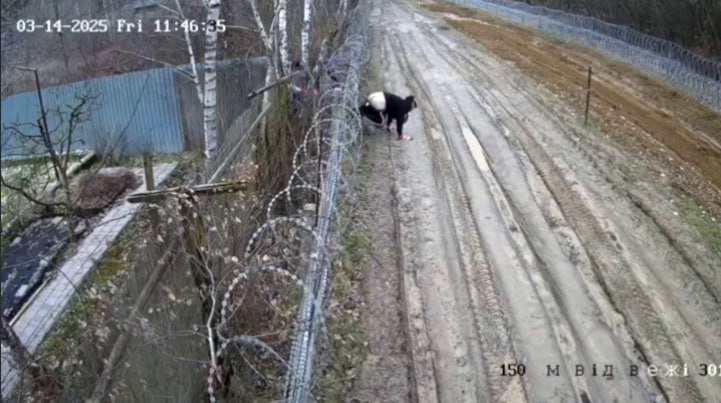 Стоп-кадр камеры видеонаблюдения (03-14-2025, 11:46:25): вид сверху — двое людей ползут по грунтовой дороге вдоль ограждения с колючей проволокой; надпись «150 М ВІД МЕЖІ».