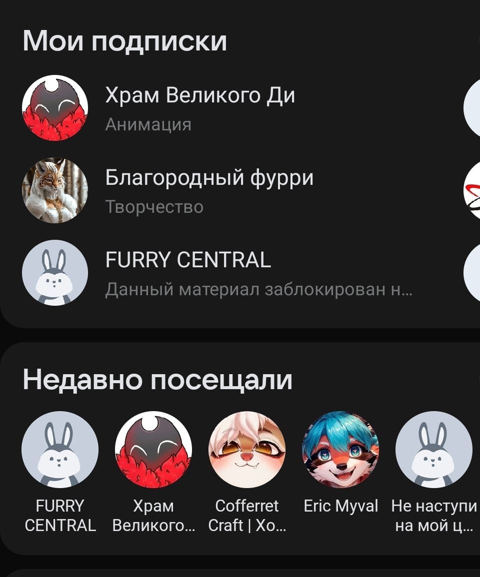 Скриншот мобильного ВКонтакте: раздел «Мои подписки» — «Храм Великого Ди» (анимация), «Благородный фурри» (творчество), «FURRY CENTRAL» (заблокирован); «Недавно посещали» — те же сообщества плюс Cofferret Craft, Eric Myval, «Не наступи на мой ц…».
