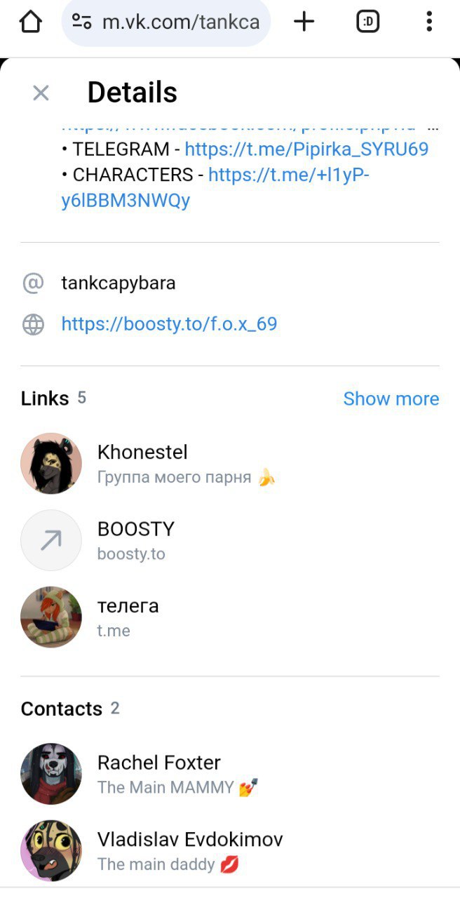 Продолжение страницы m.vk.com/tankca: ссылки Telegram и Characters, никнейм tankcapybara, ссылка на Boosty; раздел Links — Khonestel (группа парня), BOOSTY, телега; контакты: Rachel Foxter, Vladislav Evdokimov.