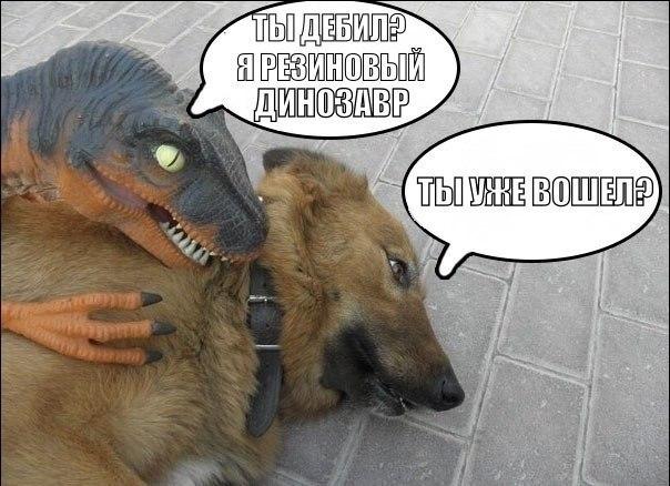 Мем: резиновая игрушка-велоцираптор держит немецкую овчарку за шею на асфальте; речевые пузыри — динозавр: «Ты дебил? Я резиновый динозавр», собака: «Ты уже вошел?»