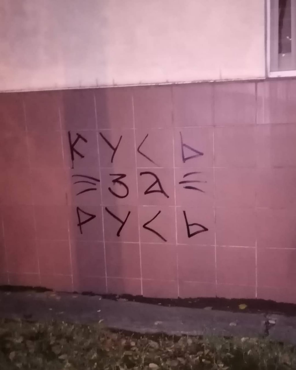 Ночное фото граффити на розовой кафельной плитке здания: крупная надпись «Кусь за Русь» с нарисованными кошачьими усами и носом между строк.