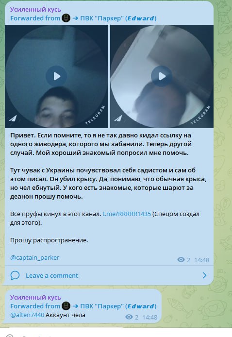 Скриншоты Telegram-поста о живодёре, убившем крысу, и запроса о помощи с деанонимизацией.