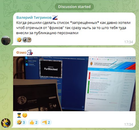 Комментарии к посту: Фэмо прикрепил фото монитора с сайтом FurBlocked и сайтом электронной приёмной ФСБ.