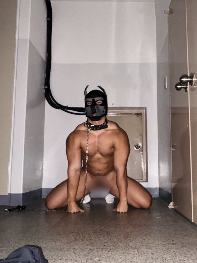 Мужчина в маске собаки (pet play) на четвереньках с ошейником и цепью, обнажённый.