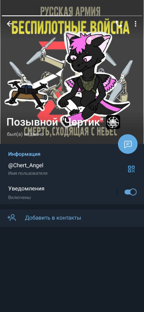 Профиль Telegram «Позывной «Чертик»» (@Chert_Angel) с артом «Русская армия — Беспилотные войска» (2/3).