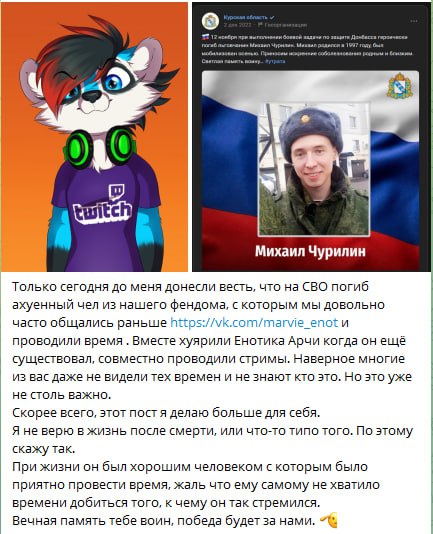 Скриншот ВКонтакте «Курская область»: некролог Михаила Чурилина (@marvie_enot), фурри, погибшего на СВО, с его фурсоной.