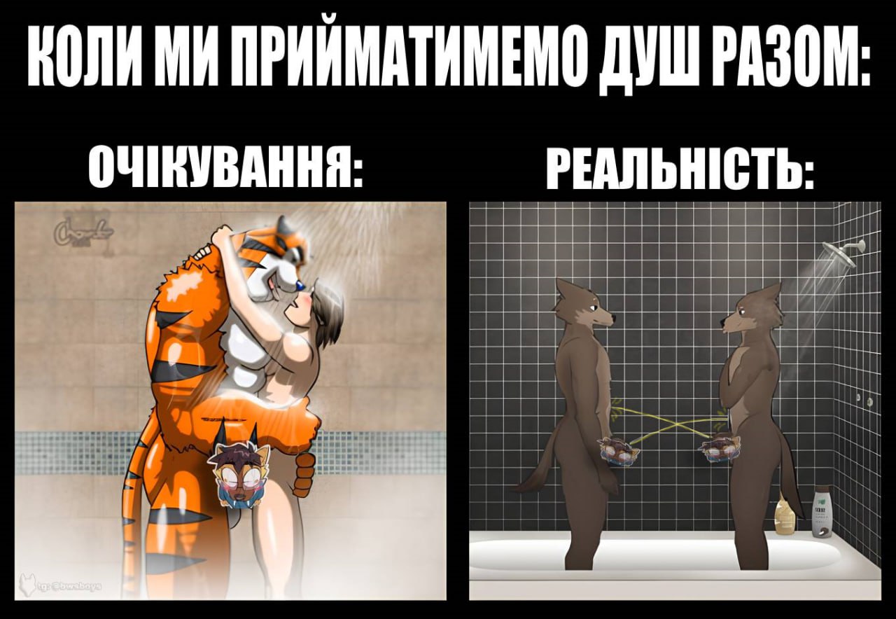 Мем «Коли ми прийматимемо душ разом»: ліво — «Очікування» (NSFW-арт тигр і ведмідь), право — «Реальність» (два ведмеді спиною один до одного).