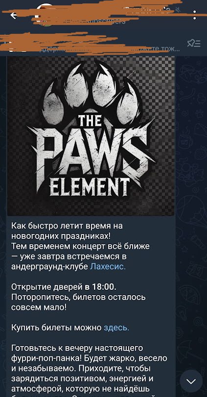 Скриншот Telegram: анонс концерта THE PAWS ELEMENT в андерграунд-клубе Лахесис, открытие в 18:00 (1/2).