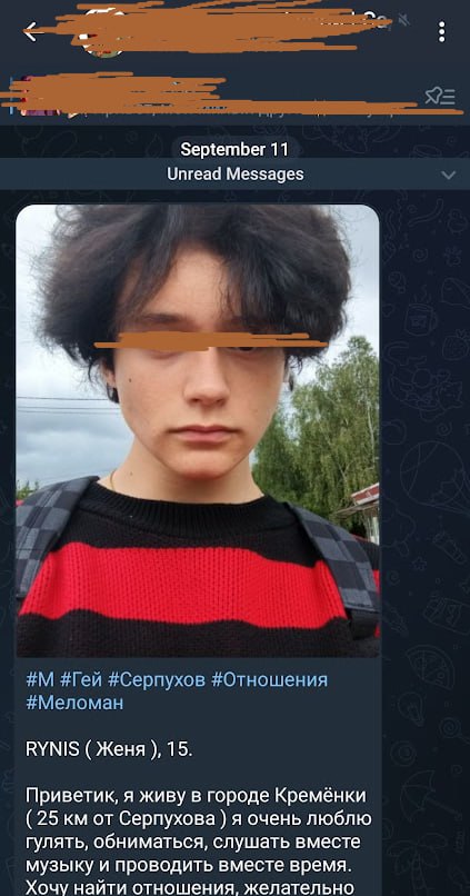 Скриншот Telegram: анкета знакомства несовершеннолетнего RYNIS/Женя, 15 лет, #М #Гей #Серпухов, лицо закрыто (2/2).