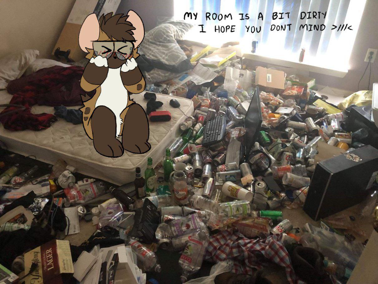 Мем: аниме-котик с подписью «MY ROOM IS A BIT DIRTY I HOPE YOU DONT MIND» стоит на фоне комнаты, заваленной горами мусора и пустых бутылок.