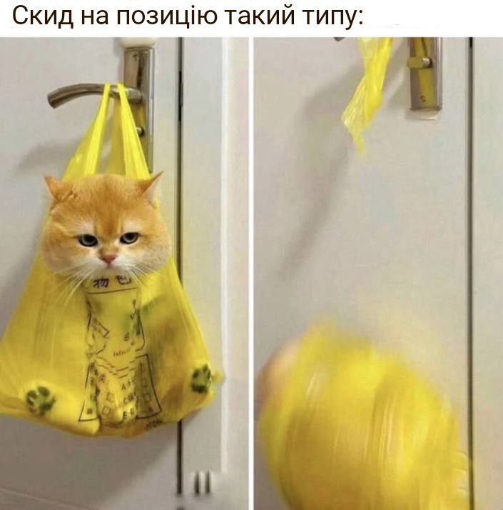 Мем: кот в жёлтом полиэтиленовом пакете, подвешенном на дверной ручке; второй кадр — пустой пакет, кот улетел. Подпись: «Скид на позицію такий типу:».