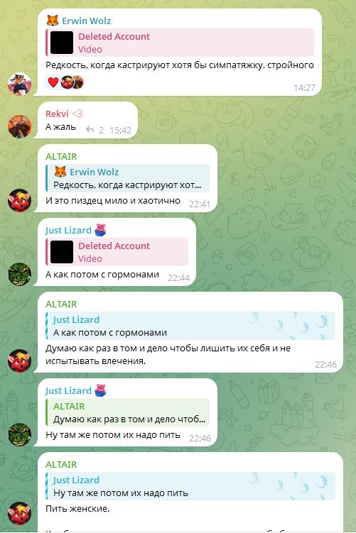 Скриншот Telegram-чата (1/4): обсуждение кастрации — сообщения Erwin Wolz, Rekvi, ALTAIR, Just Lizard о реакции на видео.