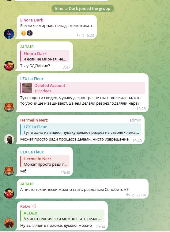 Скриншот Telegram-чата (2/4): обсуждение БДСМ и хирургических экстремалов — Elnora Dark, ALTAIR, LΣX La Fleur, Hermelin Nerz.