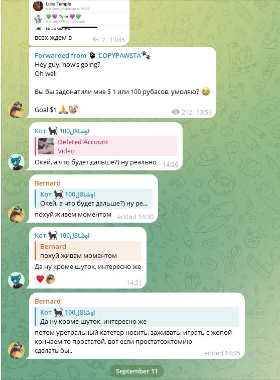 Скриншот Telegram-чата (3/4): обсуждение уретральных катетеров и простатэктомии — Bernard, Кот, COPYPAWSTA.