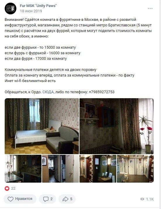 Скриншот (4/5): объявление ВКонтакте группы «Fur MSK Unity Paws» (2019) о сдаче комнаты в «фуррятнике» в Москве у метро Братиславская; фотографии комнаты.