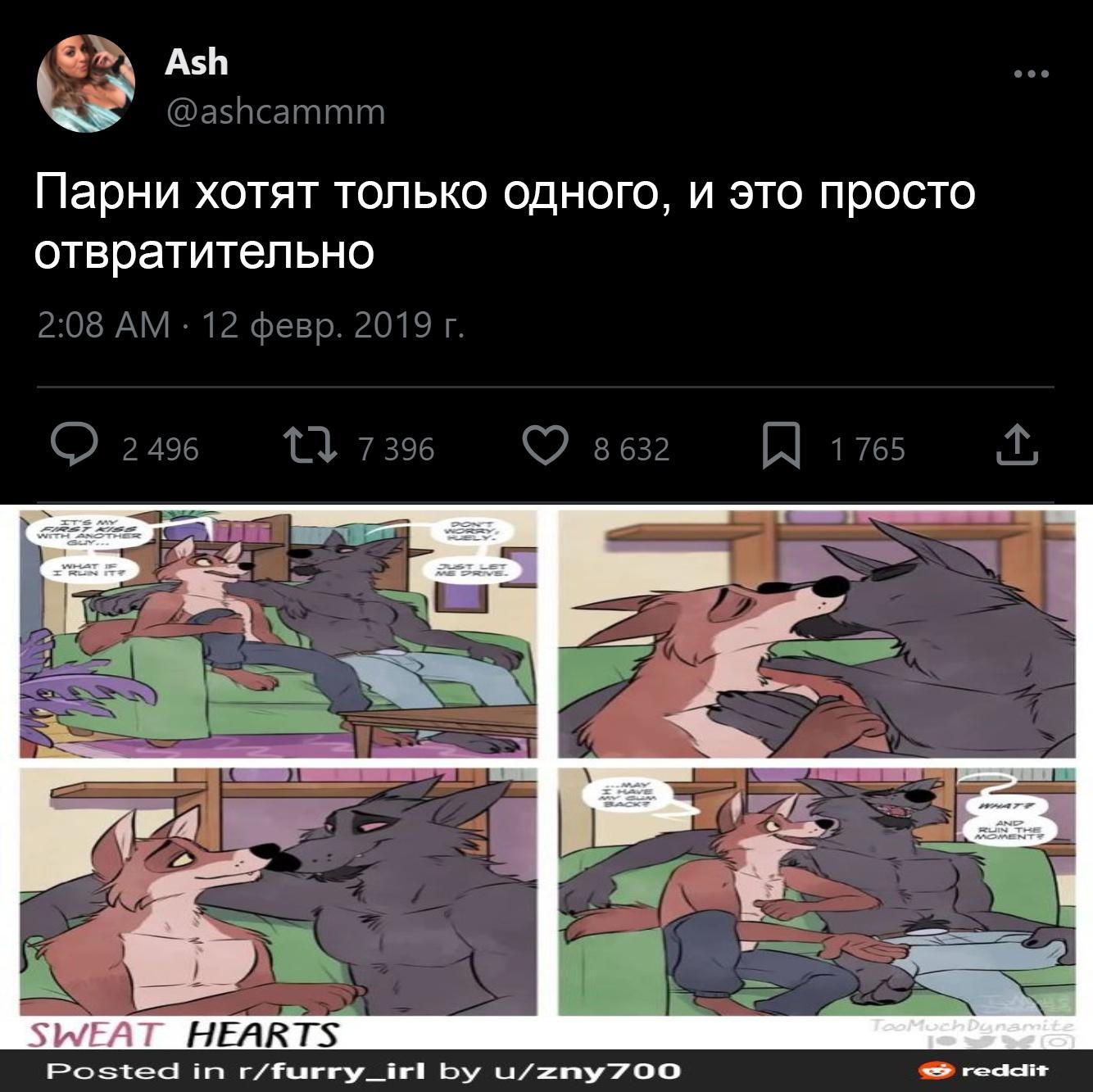 Скриншот твита @ashcammm (2019): «Парни хотят только одного, и это просто отвратительно» — с комиксом «Sweat Hearts» о двух антропоморфных волках.