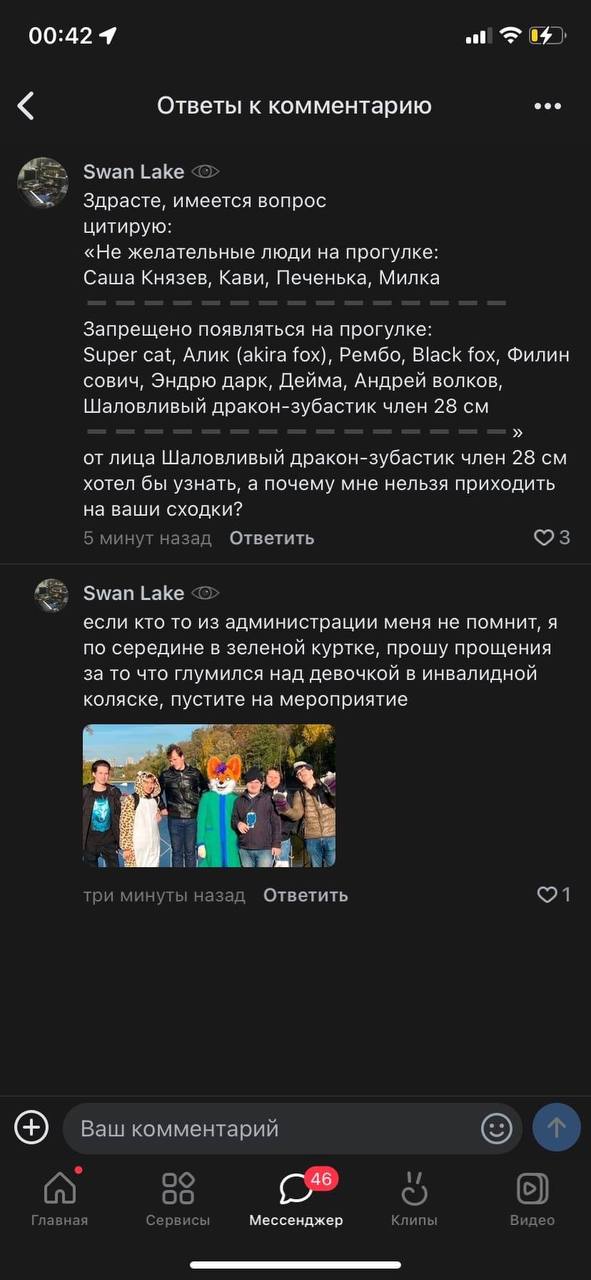 Скриншот ВКонтакте (1/3): комментарии Swan Lake — цитирует правила фурри-встреч, спрашивает почему ему нельзя приходить; упоминает «Шаловливый дракон-зубастик член 28 см» среди забаненных.
