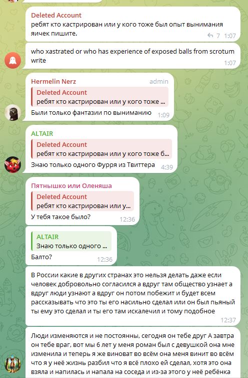 Скриншот Telegram-чата (4/4): Deleted Account спрашивает про опыт кастрации; Hermelin Nerz отвечает «были только фантазии»; ALTAIR «знаю только одного фурри из Twitter»; дискуссия о саморанении; ALTAIR описывает угрозы со стороны девушки из соседнего взвода, сообщает что находится в зоне СВО.