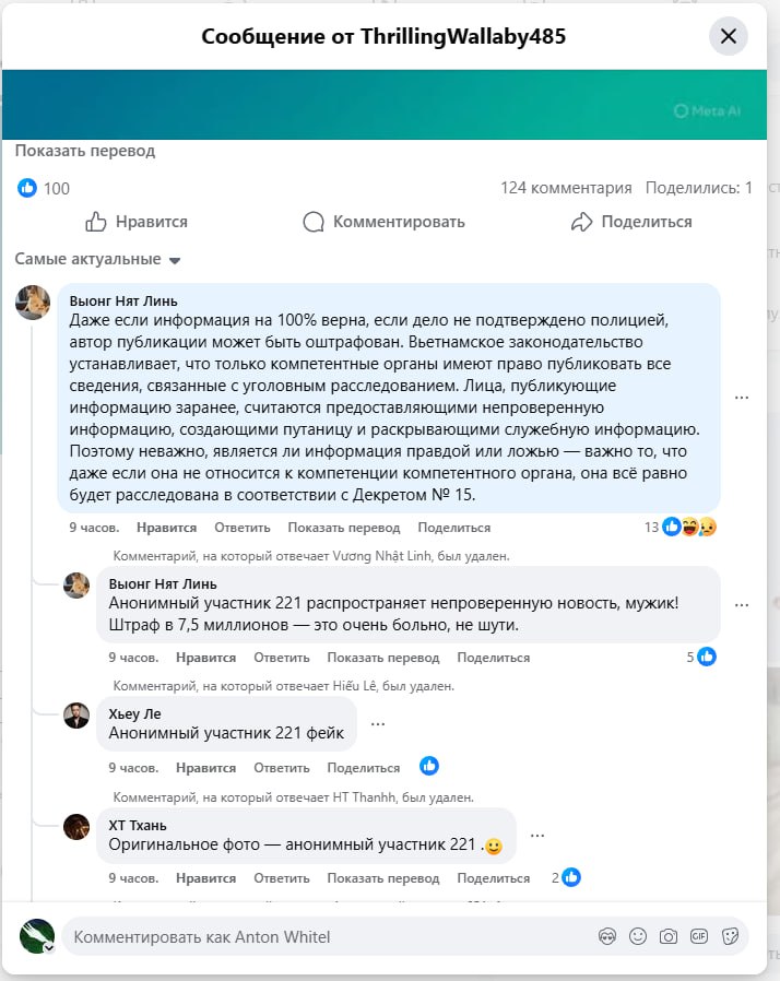 Скриншот Facebook с переводом (2/2): комментарий Выонг Нят Линь — вьетнамское законодательство запрещает публиковать непроверенные данные о расследованиях, штраф 7,5 млн донгов; другие пользователи обсуждают подлинность фото.