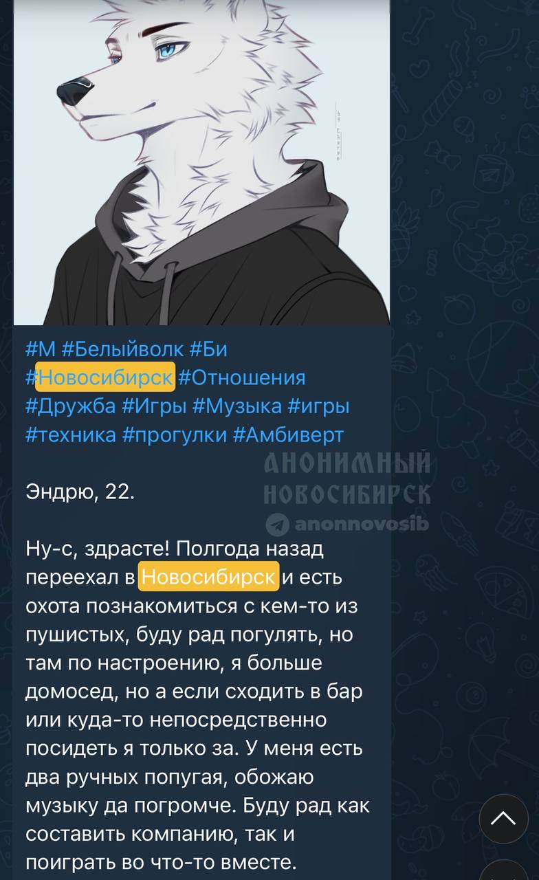 Скриншот анкеты: фурри-арт белого волка с голубыми глазами в чёрной толстовке-худи. Хэштеги: #М #Белыйволк #Би #Новосибирск #Отношения #Дружба #Игры #Музыка #игры #техника #прогулки #Амбиверт. Текст: «Эндрю, 22. Ну-с, здрасте! Полгода назад переехал в Новосибирск и есть охота познакомиться с кем-то из пушистых, буду рад погулять, но там по настроению, я больше домосед, но а если сходить в бар или куда-то непосредственно посидеть я только за. У меня есть два ручных попугая, обожаю музыку да погромче. Буду рад как составить компанию, так и поиграть во что-то вместе.»