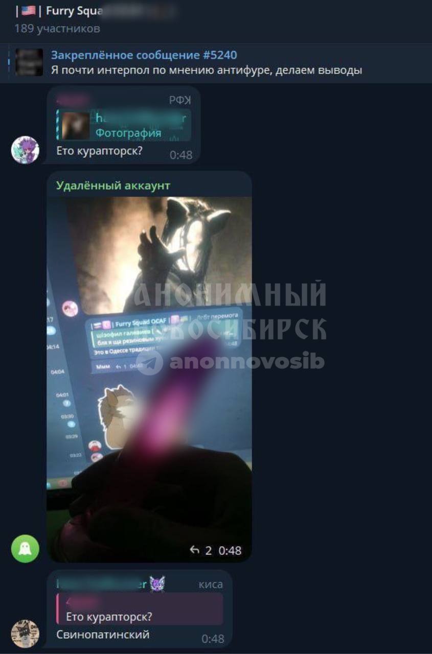 Скриншот переписки в чате «Furry Squad» (189 участников, флаг США). Закреплённое сообщение №5240: «Я почти интерпол по мнению антифуре, делаем выводы». Один из участников пишет «Ето курапторск?», другой делится фото фиолетового резинового изделия в форме фаллоса. Третий участник «Удалённый аккаунт» отвечает: «Свинопатинский».