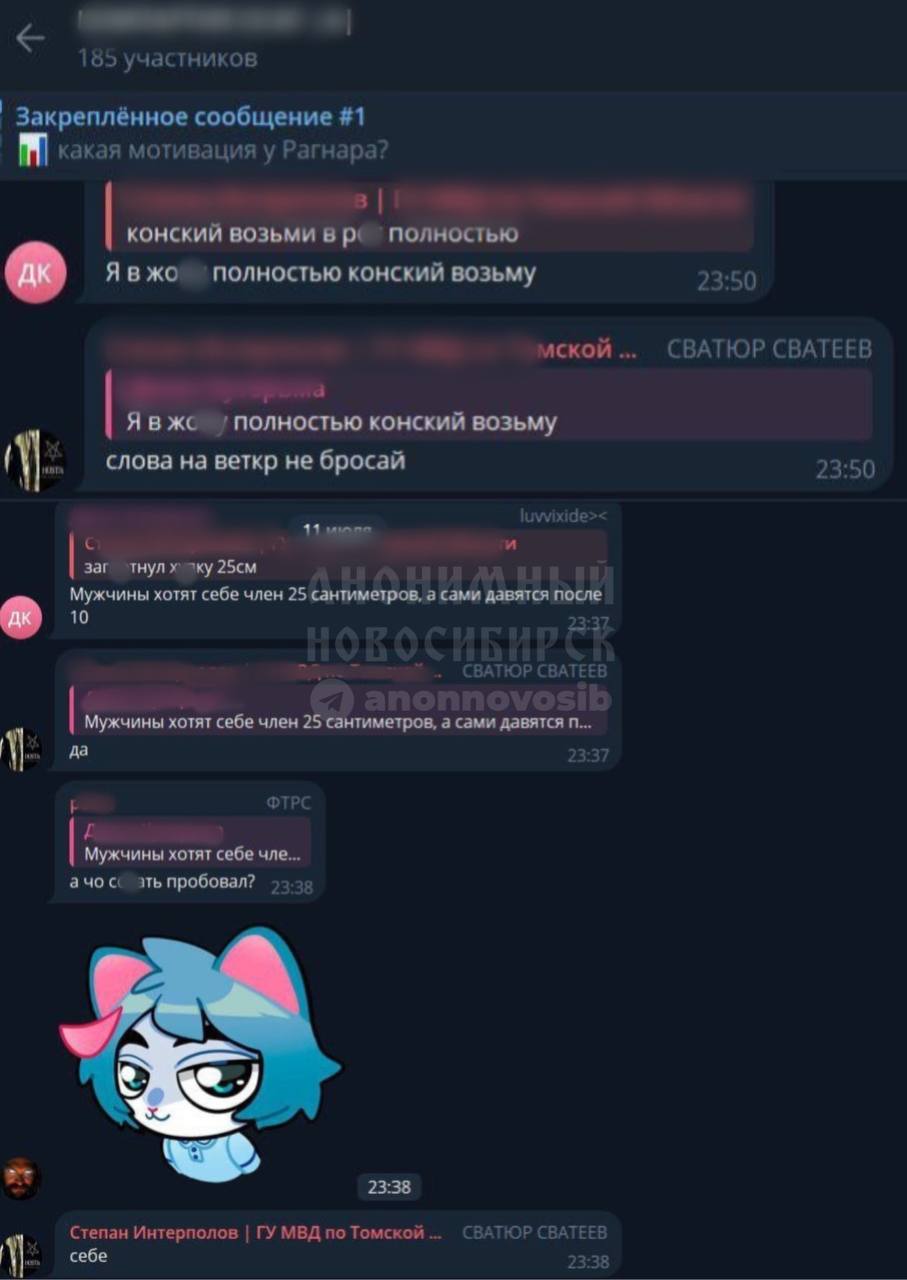 Скриншот переписки фурри-чата с обсуждениями сексуального характера. Закреплённое сообщение №1: «какая мотивация у Рагнара?». Сообщения о размерах: «зага[крыто] хуйку 25см», «Мужчины хотят себе член 25 сантиметров, а сами давятся после 10», «а чо со[крыто]ть пробовал?». Внизу — стикер с антропоморфным голубым кошкоподобным персонажем в одежде и сообщение «Степан Интерполов | ГУ МВД по Томской [области] СВАТЮР СВАТЕЕВ — себе».