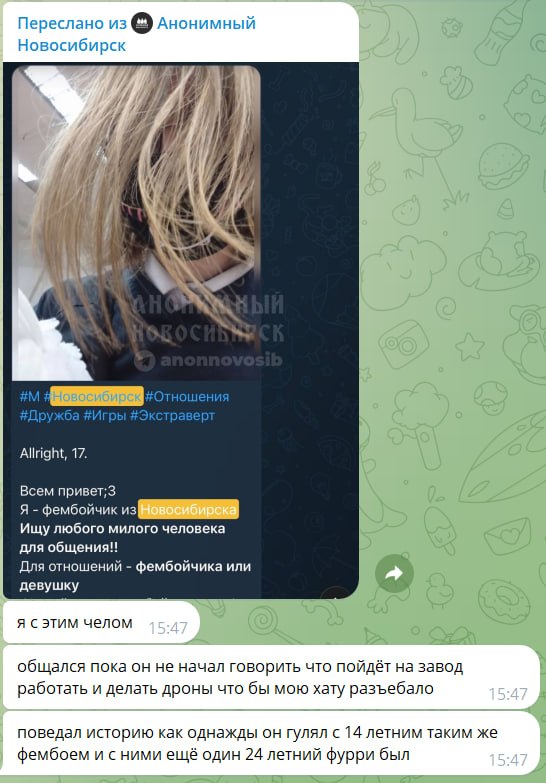 Скриншот мессенджера: вверху пересылка из канала «Анонимный Новосибирск» с анкетой «Allright, 17, фембойчик из Новосибирска ищу любого милого человека для общения!! Для отношений — фембойчика или девушку», селфи с длинными светлыми волосами. Ниже подпись отправителя: «я с этим челом общался пока он не начал говорить что пойдёт на завод работать и делать дроны что бы мою хату разъебало. поведал историю как однажды он гулял с 14 летним таким же фембоем и с ними ещё один 24 летний фурри был».
