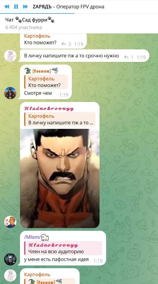 Скриншот TG-чата «🐾Сад фурри🐾» (6404 участника), фоновая музыка ЗАРЯДЪ — Оператор FPV дрона. Пользователь Картофель: «Кто поможет?», «В личку напишите пж а то срочно нужно». [fseosn]: «Смотря чем». Hladnokroovnyy отвечает мемом на просьбу Картофеля написать в лс. Ещё сообщения: «Не слушайте его типы». [fseosn]: «Я буду героем ждите». Картофель: «Чтобы я смог извиниться перед бывшим». Кто-то: «Ему надо написать». Hladnokroovnyy: мем с суровым усатым лицом (с подтекстом «на всю аудиторию»). Время сообщений — 1:19.