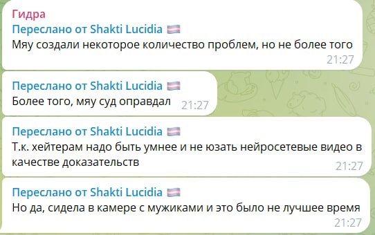 Скриншот из чата «Гидра»: пересланные сообщения от Shakti Lucidia — «Мяу создали некоторое количество проблем, но не более того», «суд оправдал», «хейтерам надо быть умнее и не юзать нейросетевые видео в качестве доказательств», «сидела в камере с мужиками и это было не лучшее время».