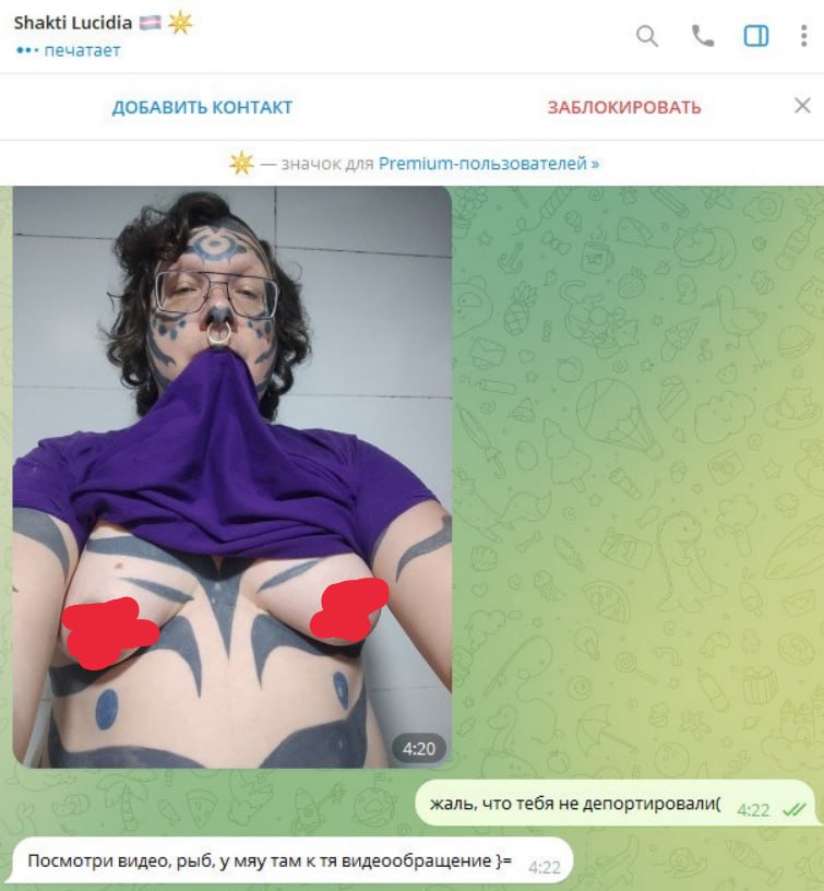 Скриншот переписки с Shakti Lucidia: NSFW-фото с закрытым лицом (топлес-селфи с татуировками). Сообщения: «жаль, что тебя не депортировали» и «Посмотри видео, рыб, у мяу там к тя видеообращение».