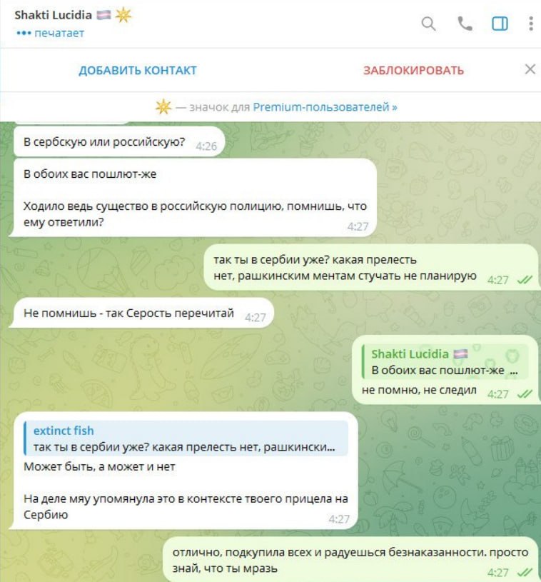 Скриншот переписки с Shakti Lucidia: продолжение диалога о депортации и обвинениях.