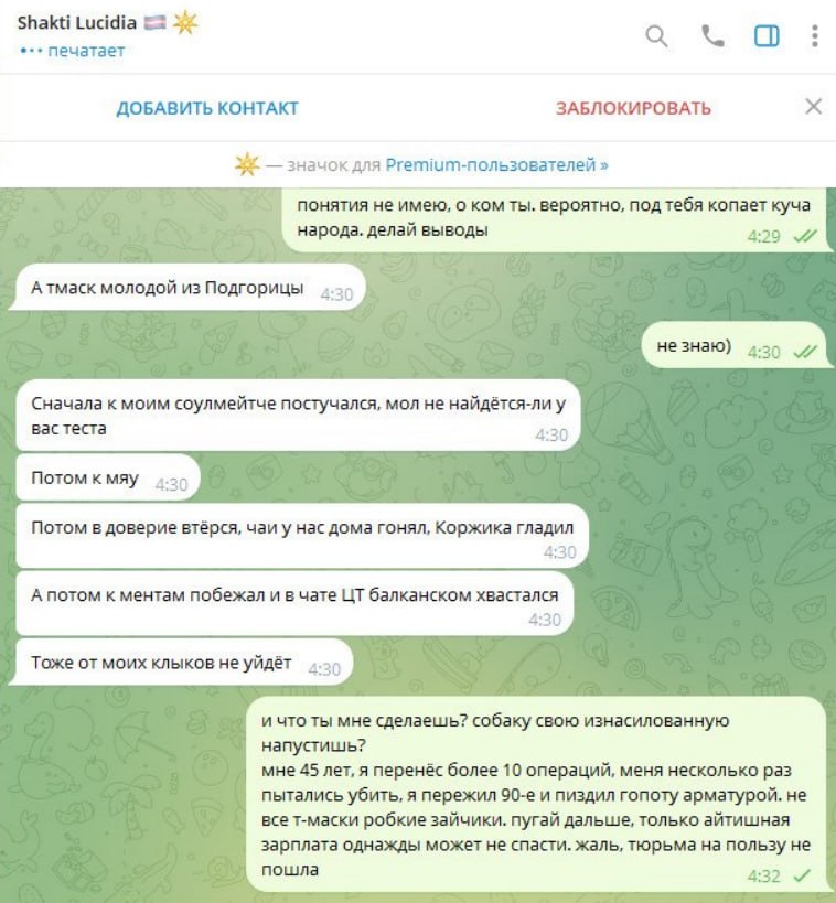 Скриншот переписки с Shakti Lucidia: продолжение переписки.