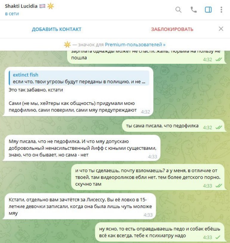 Скриншот переписки с Shakti Lucidia: продолжение диалога.